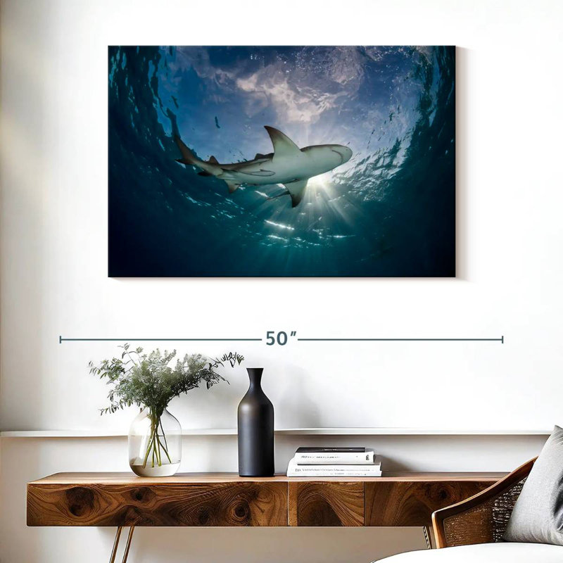 Brampt Lemon Shark In The Water, 26'' H x 39'' W
