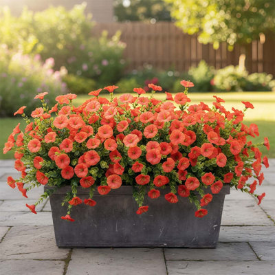 Artificial Flowers For Outdoors Fake Plants, 12 Bundles Faux Fuchsia Morning Glory UV Resistant Look Real Silk Flowers For Outside Planter Front Door Porch Patio Yard Fall Autumn Decoration