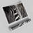 Zebra Face - No Frame Print-48116076