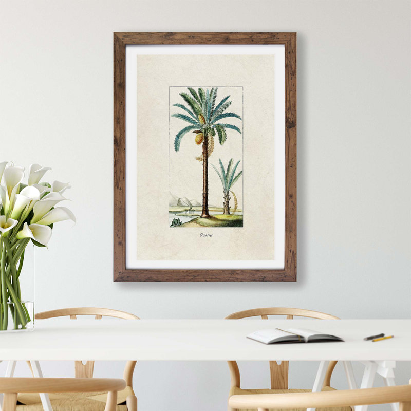 Illustration of A Date Palm Tree - Framed Print, 33cm H x 45cm W x 2cm D, Walnut