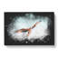 Black Kite Bird - Wrapped Canvas Painting-56643150