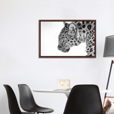 Big Cat B&W by David Gardiner - Print on Canvas