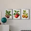 Antique Fruit IX - Ensemble de 3 impressions sur toile encadrées-700919558-700919556