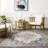 Emi Traditional SplashGuard Machine Washable Area Rug-589527042