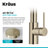 Oletto 2-in-1 Pull-Down Single Handle Kitchen Faucet-79074721