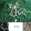 40cm PVC No Holiday Shaped Ornament