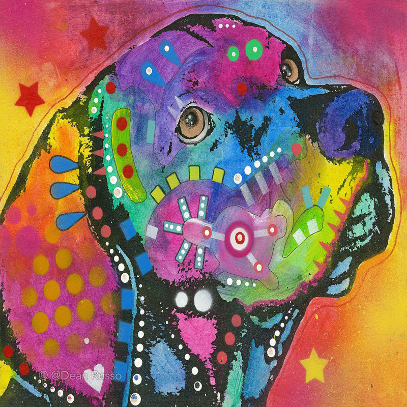DiaNoche King Duvet Cover Sets Microfiber by Dean Russo - Psychedelic Labrador Dog, Queen Duvet Cover + 2 Standard Shams
