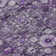 Kaylani Washable Floral Indoor / Outdoor Rug