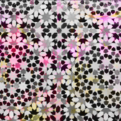 Parvez Taj - Wrapped Canvas Print