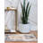 Northrup Indoor Rug-635877651