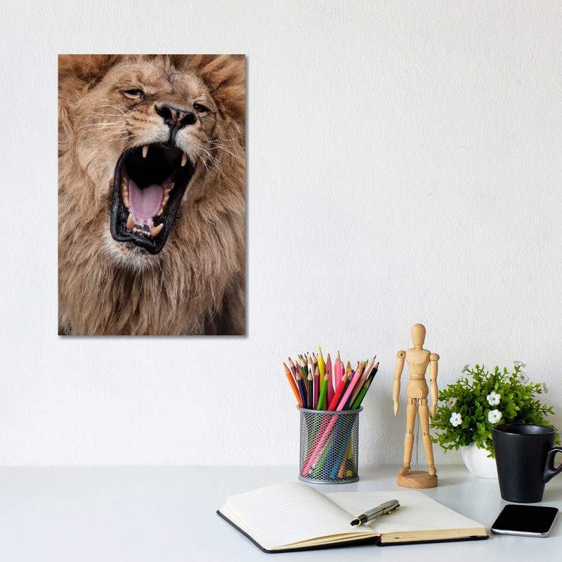 Lion III by Goran Anastasovski - Wrapped Canvas Print, 20.32 cm H x 30.48 cm W