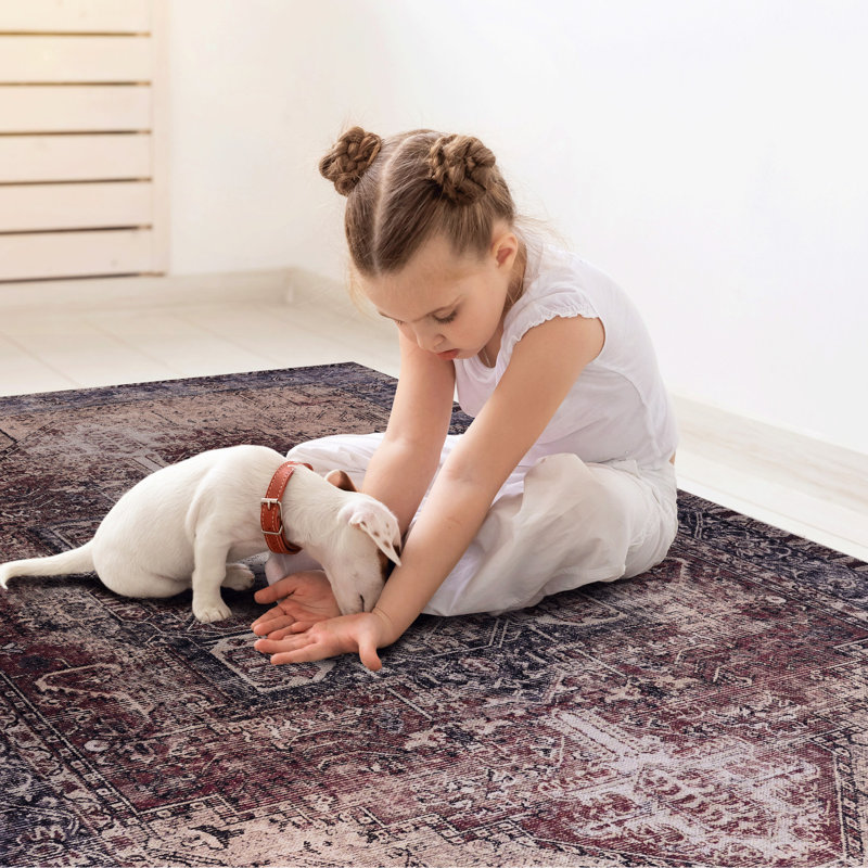 Tapis 5 x 8 pour chaque foyer - lavable, à poils courts, antidérapant, antidérapant, pliable, pour animaux de compagnie, doux, teinté (bourgogne, lavable, pliable, cuisine, salon, chambre à coucher, textile doux