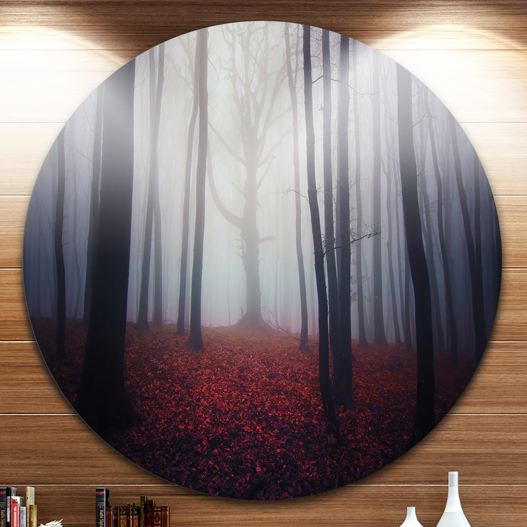 'Dark Spooky Misty Forest' Photographic Print on Metal Design Art 