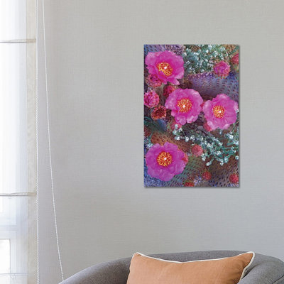 Beavertail Cactus Flowering, North America by Tim Fitzharris - Wrapped Canvas Gallery-Wrapped Canvas Giclée