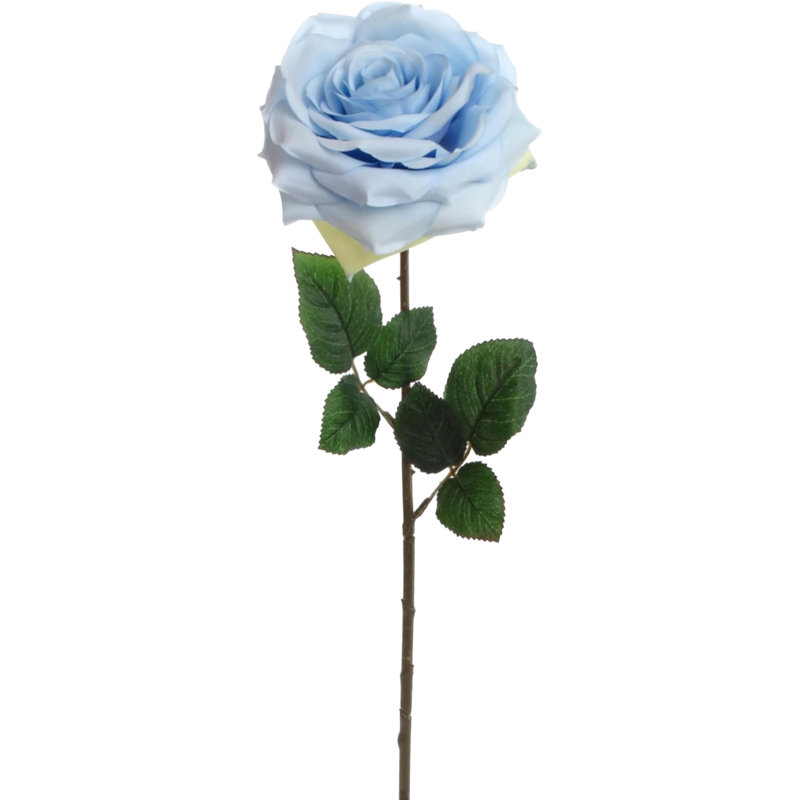 Tige de rose ouverte 20 po - paquet de 6
