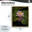 Cadre flottant rose lotus parmi des nénuphars, design par Phillip Flowers-1664758267-1664758260
