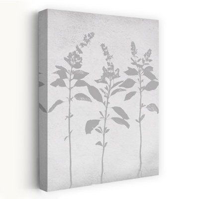 Retraite botanique 7, art naturel contemporain