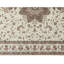 Elegance Oriental Area Rug in Brown/Ivory