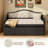 Twin Daybed with Trundle And Drawers-117794025