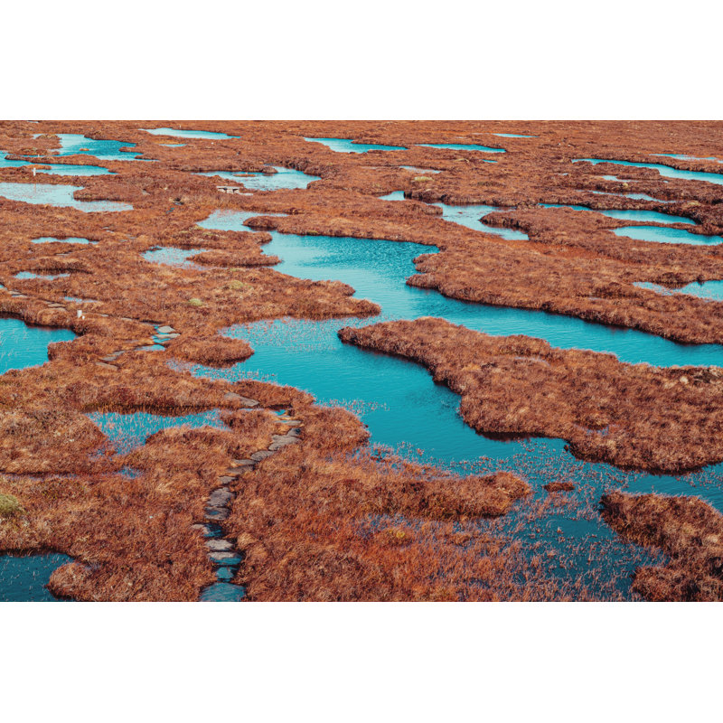 Peat Bogs At Forsinard by Lucentius - Wrapped Canvas Print, 20cm H x 30cm W x 3.8cm D