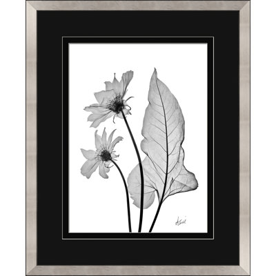 Arrow Leaf Print