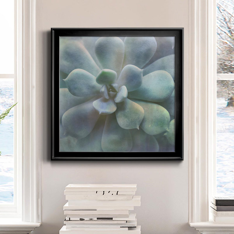 Soft Succulent II - peinture sur toile encadrée, H 34,5 po x l 34,5 po x P 1,5 po, Cadre noir