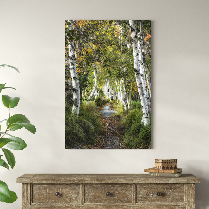 Birch Path I, H 48 po x l 32 po x P 1,25 po