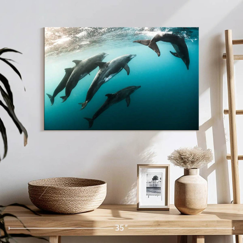 Brampt Dolphin Playmates, 16" H x 24" W