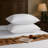 Bloomfield Virgin PSF Filling Plush Cooling Pillow-530724973