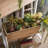 Eira Wood Elevated Planter-1700882797