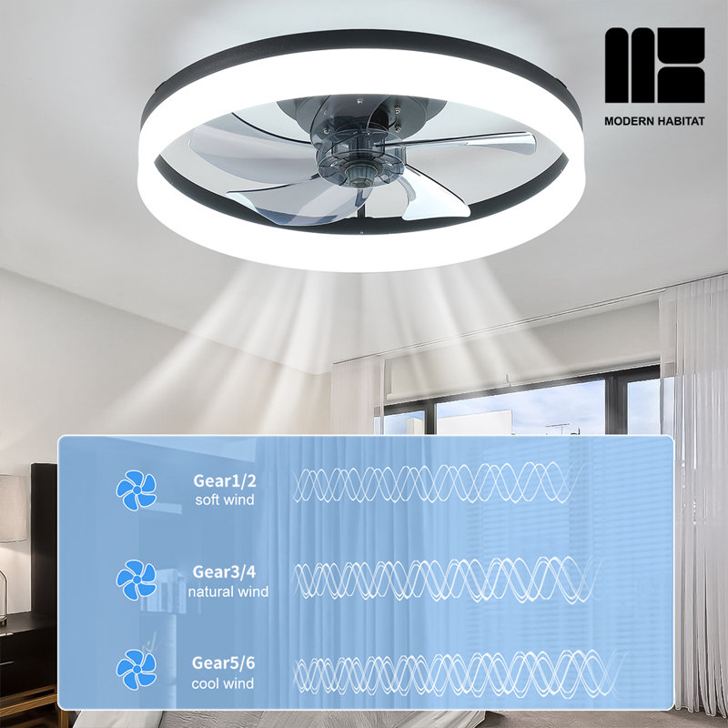 Ventilateur de plafond 19,7 po avec lumières DEL Dusen