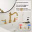 2-handle Bathroom Faucet with Drain Assembly-98084937