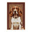  Tapis lavable pour chien Setter irlandais-545494079