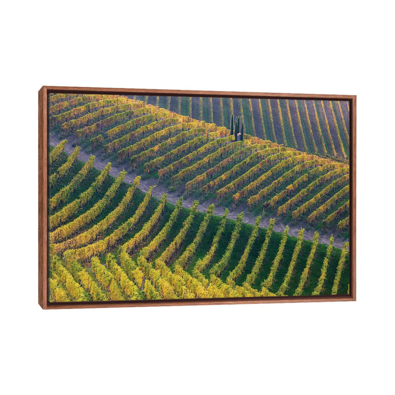 Vineyards by Fiorenzo Carozzi - Floater Frame Print on Canvas, 101.6 cm H x 66.04 cm W, Brown