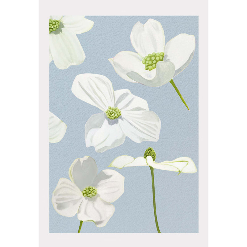 White Dogwood Blossoms Print, Pale Blue, 22" H x 17" W