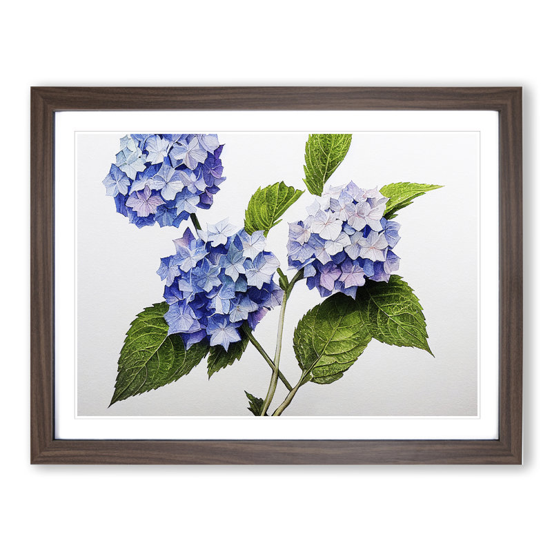 Hydrangea Flowers Vol.1 - Framed Print, 46cm H x 64cm W x 2cm D, Walnut