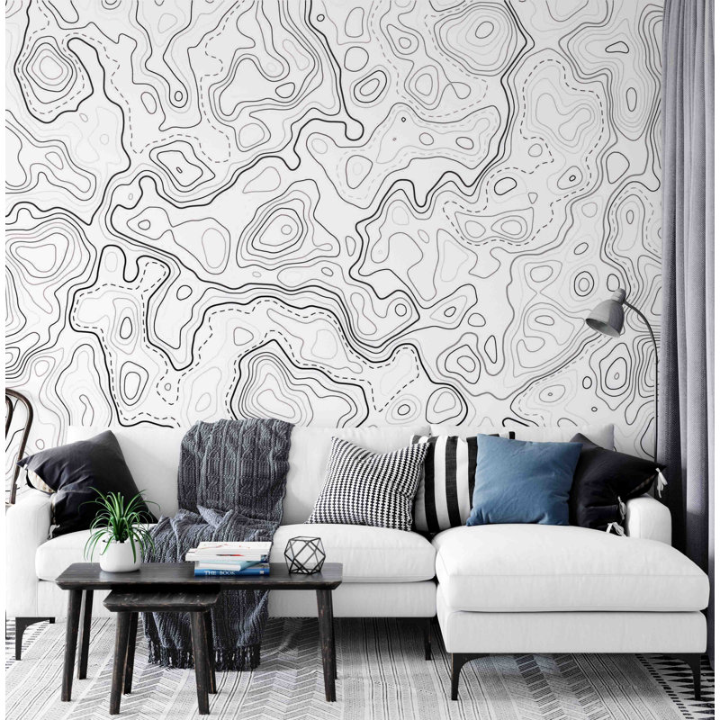 Papier peint noir à motif de lignes topographiques, L 37 po x l 56 po