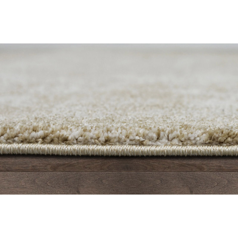 Indoor Rug