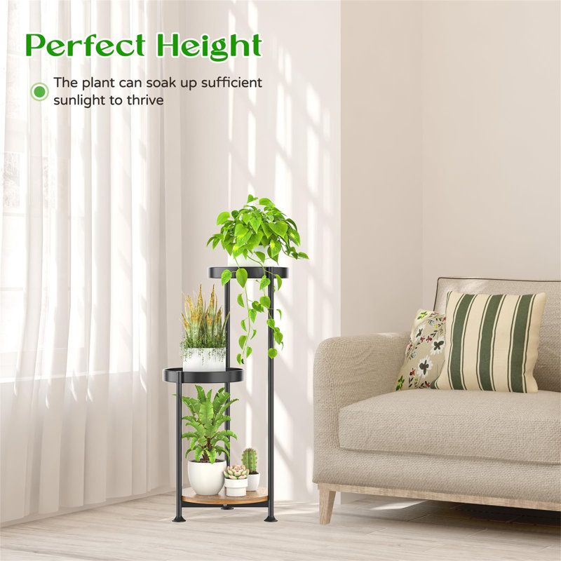 Plant Stand