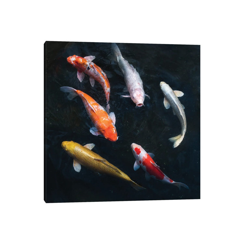 Colourful Koi Carps In A Garden Pond by Jan Becke - Wrapped Canvas Print, 45.72 cm H x 45.72 cm W x 1.91 cm D