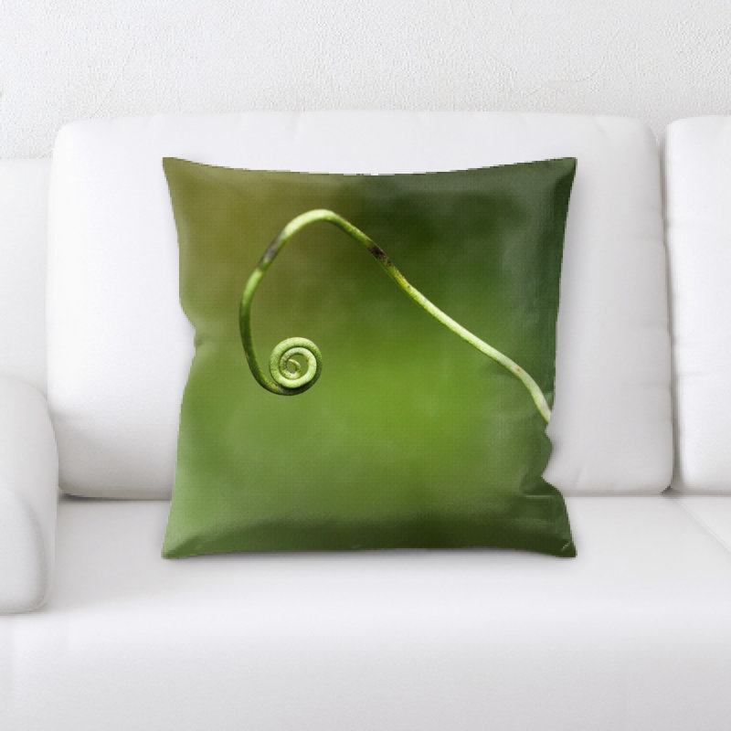 Coussin de plante