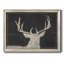 Brow Tine Deer II - Brow Tine Deer II - reproduction de photo sur toile-748022942