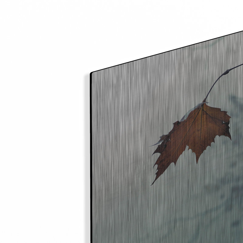 "" "Par Nicholas Bell, photographie, H 24 po x l 24 po
