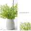 Simulation de fleurs et de plantes