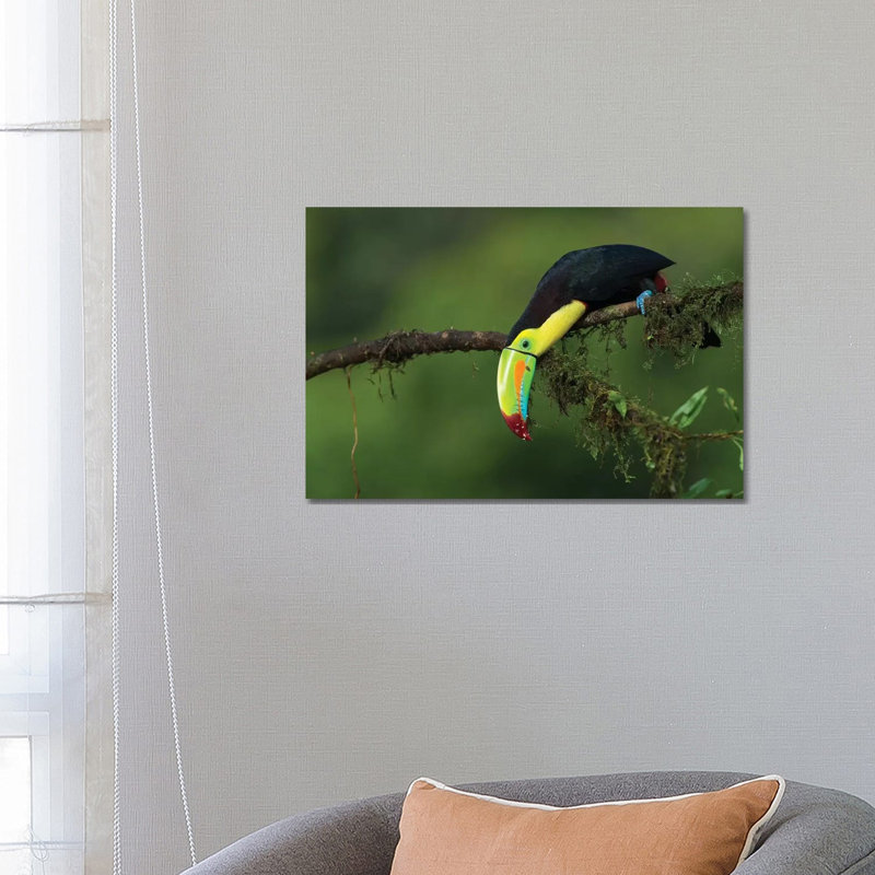 The Colours Of Costa Rica by Fabio Ferretto - Wrapped Canvas Print, 66.04 cm H x 45.72 cm W