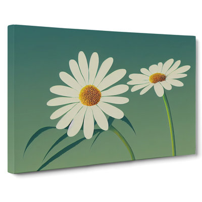 Gorgeous Daisy Flowers - Wrapped Canvas
