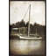 Sailboat Print by Brandon Luther-70148143