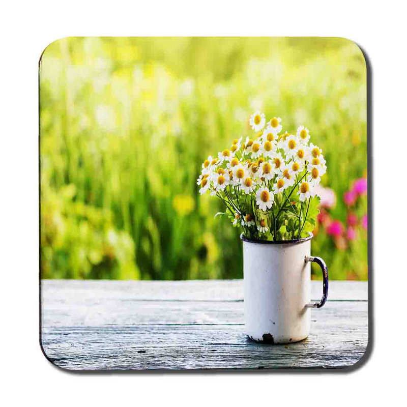 Anyeline Square 6 Piece Coaster Set