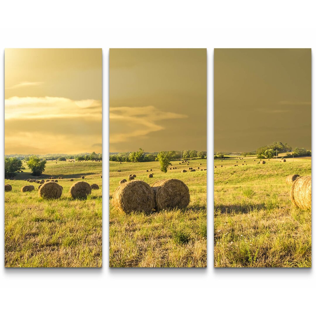 3-tlg. Leinwandbilder-Set Heuballen auf einem Feld in der Toskana