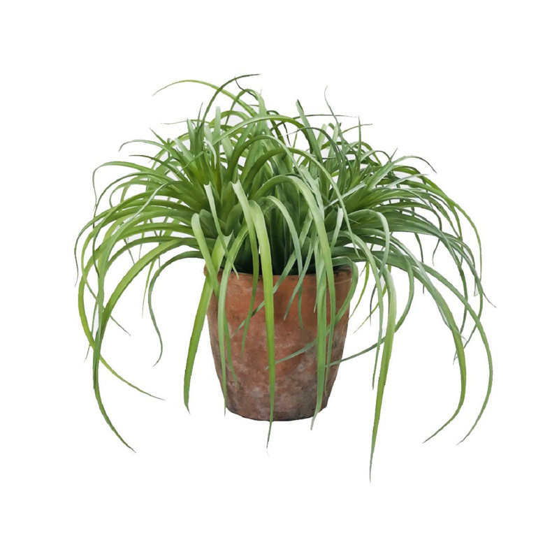 11'' Faux Succulent Plant
